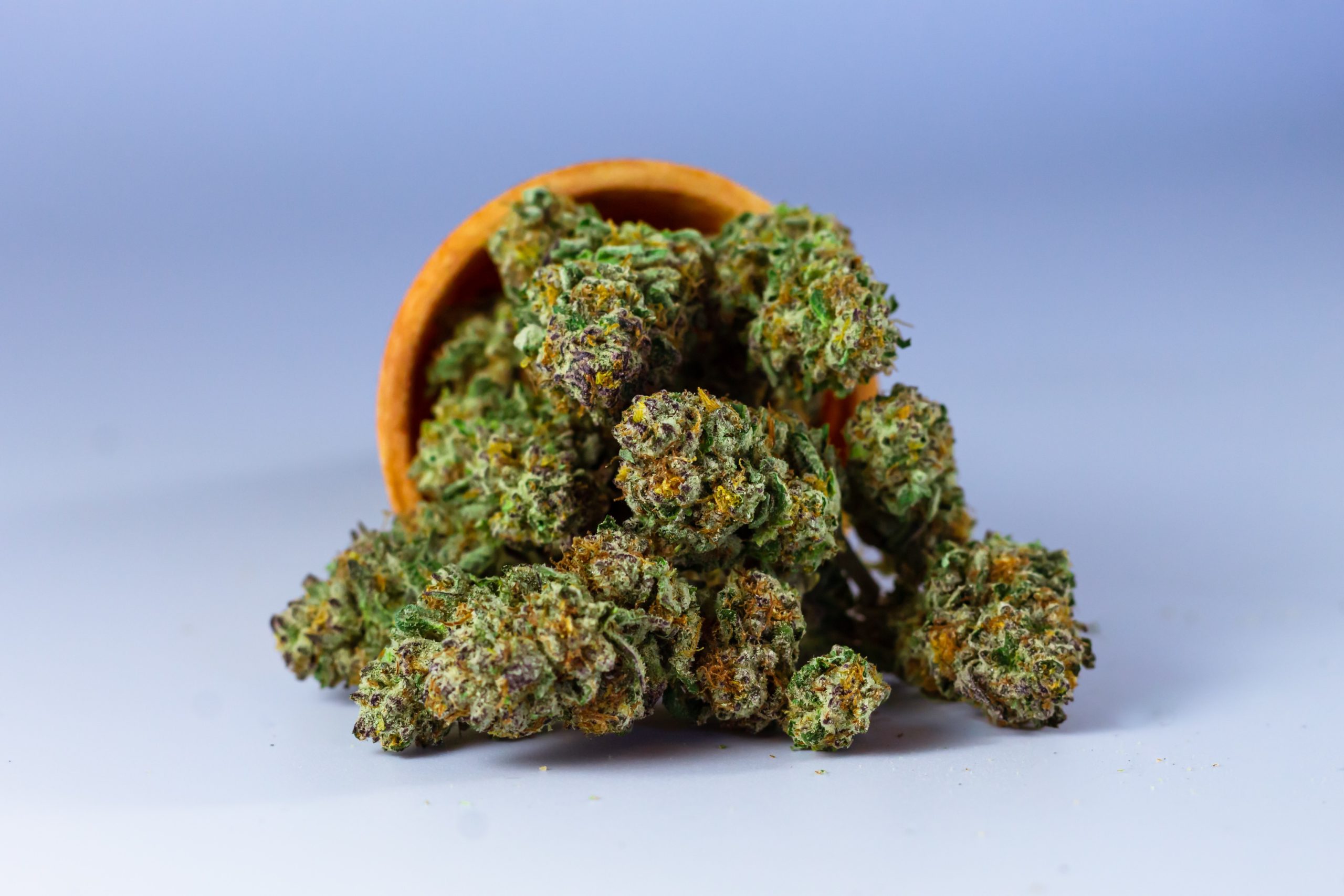 Photo by Terrance Barksdale: https://www.pexels.com/photo/green-and-orange-kush-6598564/