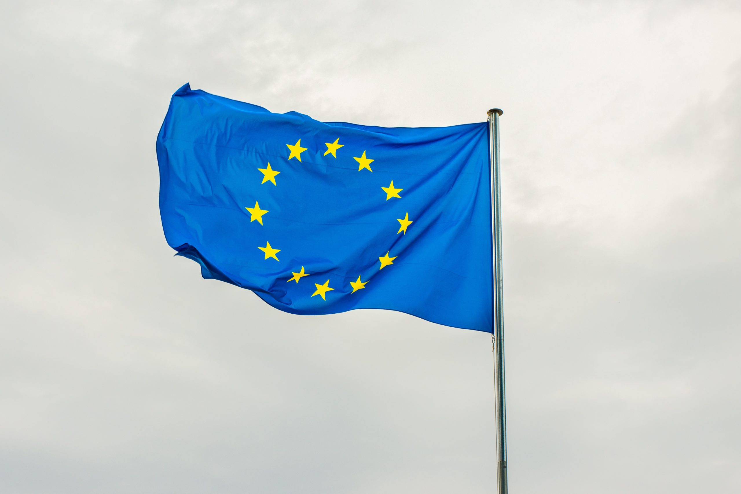 Photo by Dušan Cvetanović: https://www.pexels.com/photo/eu-flag-12541596/