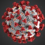 Photo by CDC: https://www.pexels.com/photo/structure-of-a-coronavirus-3993212/