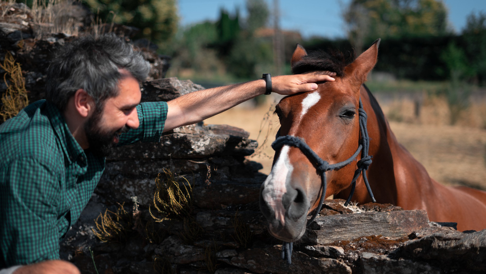 <a href="https://www.freepik.com/free-photo/middle-aged-attractive-male-petting-head-horse-ranch_17242582.htm#query=The%20nitrite%20of%20horses&position=48&from_view=search&track=ais">Image by wirestock</a> on Freepik