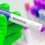 NOROVIRUS