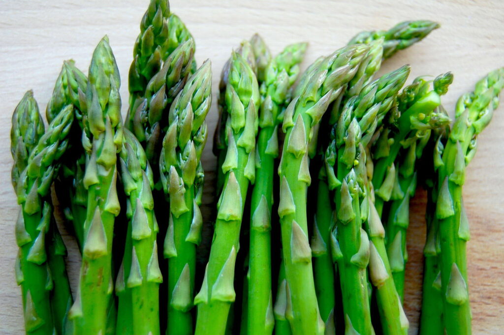 Asparagus04