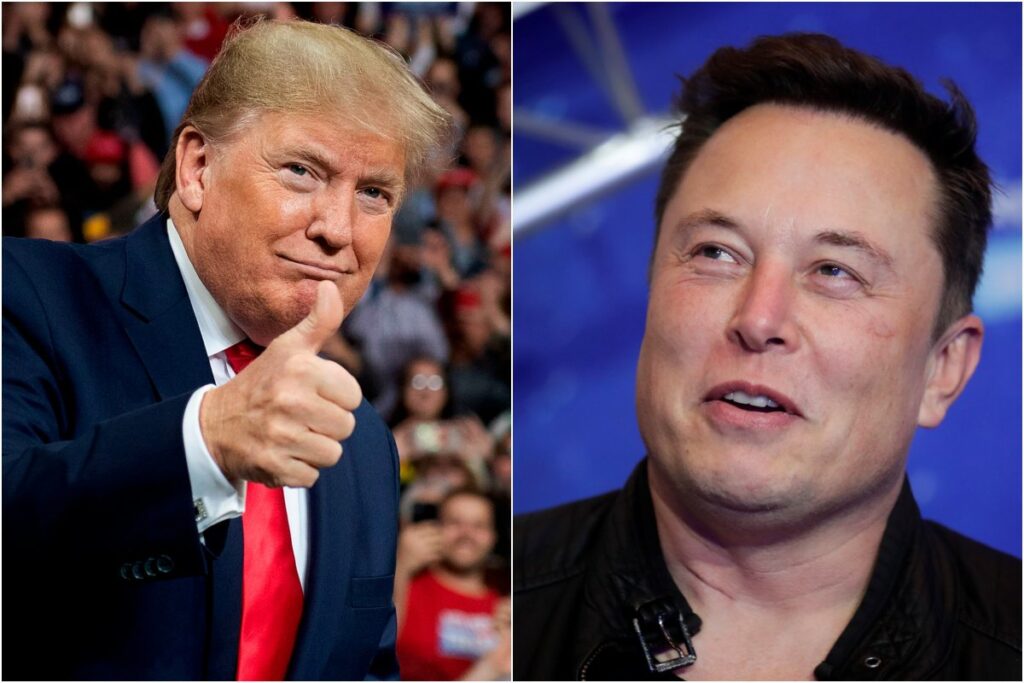 elon-musk-trump