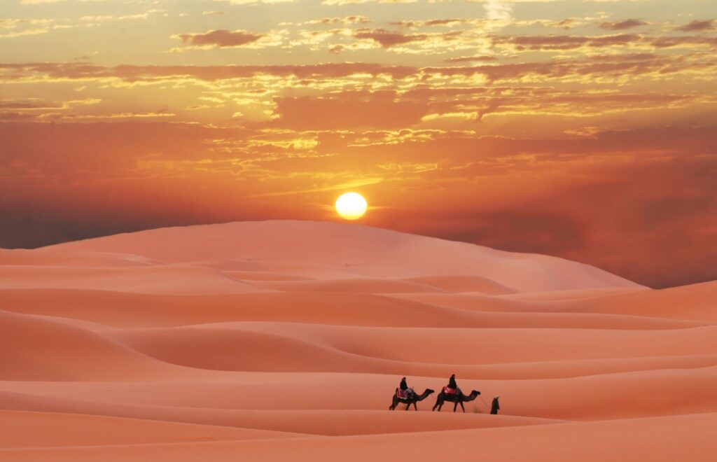 sahara_7