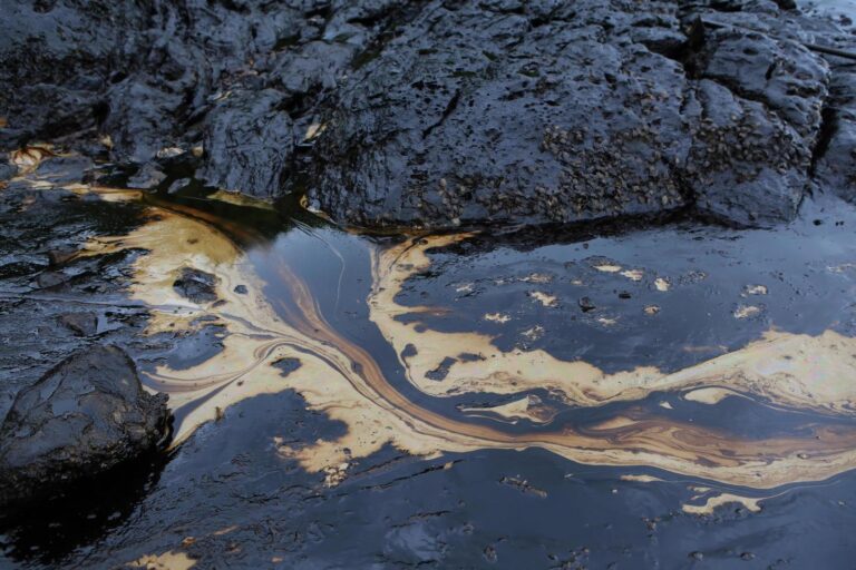 crude-oil-spill-on-the-stone-at-the-beach-free-photo