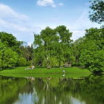 7687465-park-jest-ulubionym-miejscem-relaksu-mieszkancow-pobliskich