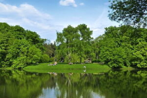 7687465-park-jest-ulubionym-miejscem-relaksu-mieszkancow-pobliskich