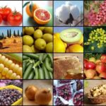 Agro-Food HRANA
