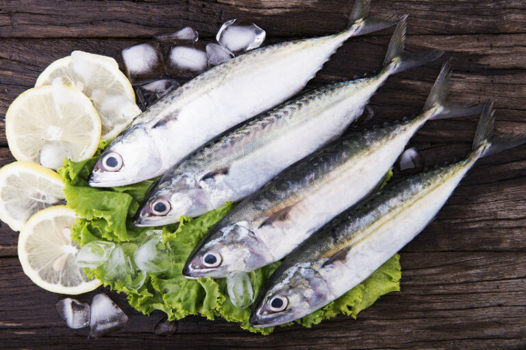 OMEGA-3-IN-SEAFOOD-LINKED-TO-HEALTHY-AGEING