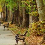 park skopje