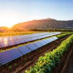 solar-panels-field-with-sunflare-mountains-background_753333-3224
