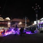 Aida-izvedba-na-plato-pred-NOB-27-bg_resize