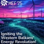 MEF (1)