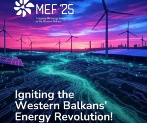 MEF (1)