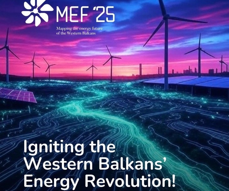 MEF (1)