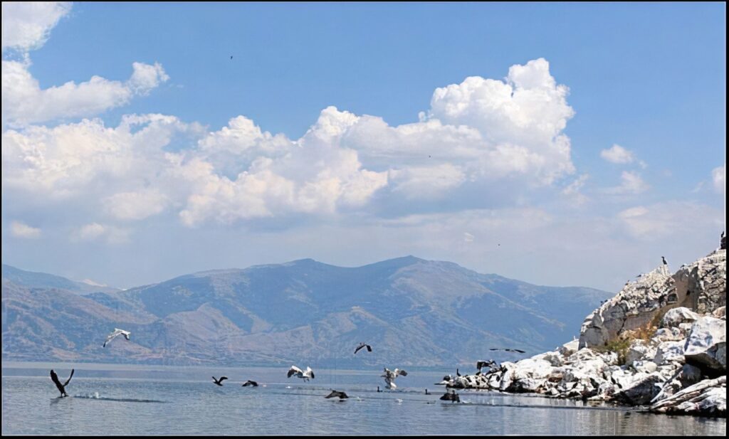 PRESPA