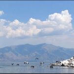 PRESPA