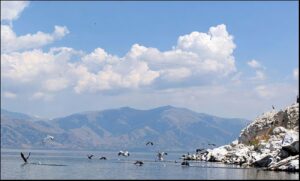 PRESPA