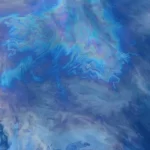 smithsonian-oily-sheen