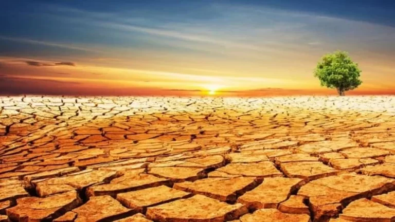 susha-globalno-zatopliane