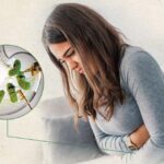 Helicobacter-and-ulcers-980x653