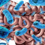 microbiome-1-870x435