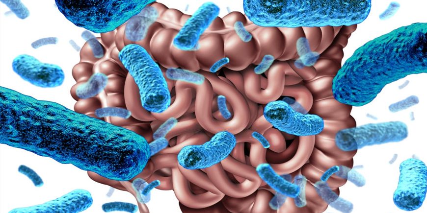 microbiome-1-870x435