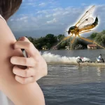 3500732_komarci-2_ls