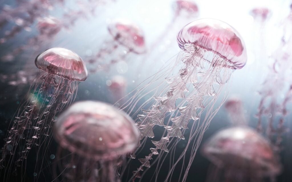 357895-jellyfish-digital_art