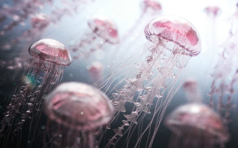 357895-jellyfish-digital_art