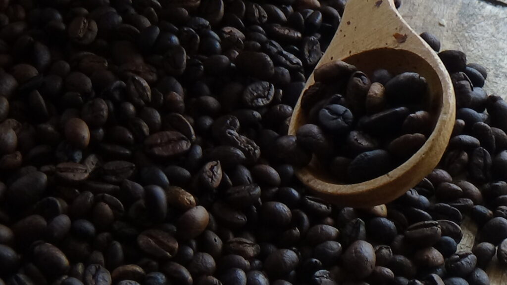 52639723288_e0e8802ac6_h