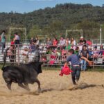 FullSizeRender-2048x1407