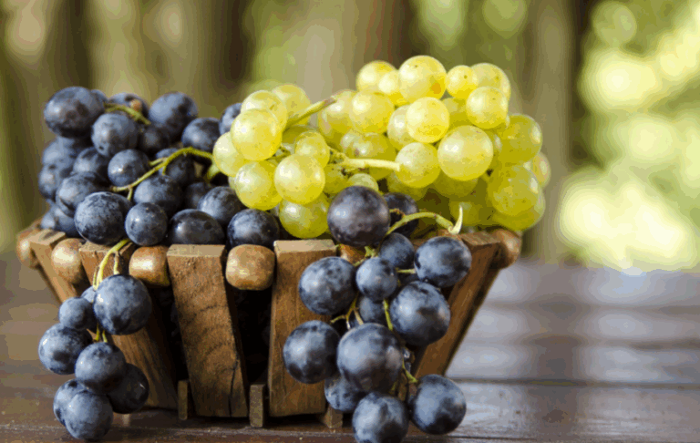 Grozdje-910x576