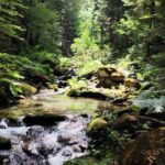 reka-dosnica-juli-2025