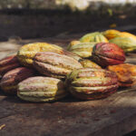 Rio_Sinu_Colombia_2020_LaFlor_MU-58