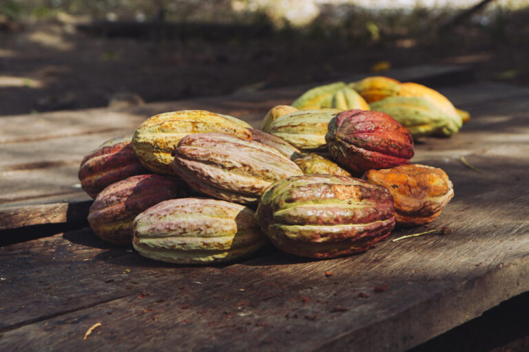 Rio_Sinu_Colombia_2020_LaFlor_MU-58