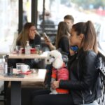 tsCk9kpTURBXy8yYjIxZDhjNGVhMjZjMzhkNzQ4YTRmZDRlNzhkYjYyMy5qcGeRkwLNBLAA3gABoTAB