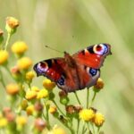 ed-van-duijn-8qfAOFBPhcc-unsplash