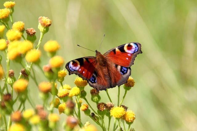 ed-van-duijn-8qfAOFBPhcc-unsplash