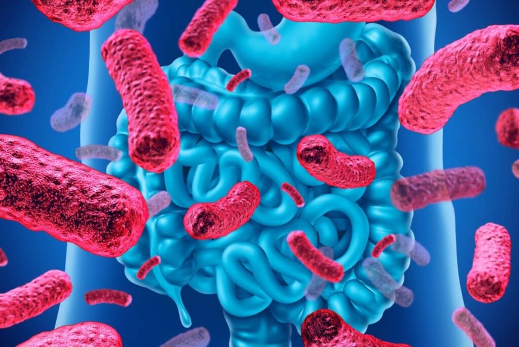 kakvo-predstavliavat-poleznite-bakterii-Nutrima-bg-1-1170x781