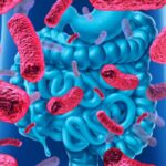 kakvo-predstavliavat-poleznite-bakterii-Nutrima-bg-1-1170x781