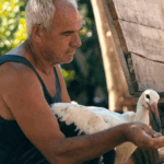 screenshot-2025-09-09-131155