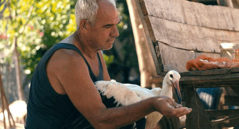 screenshot-2025-09-09-131155