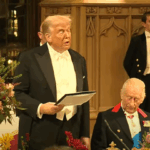 tramp-windzor-768x405