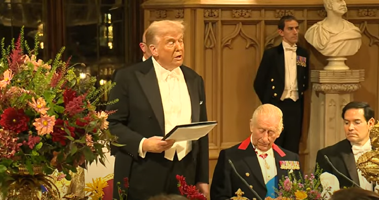 tramp-windzor-768x405