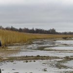 zivotnata-sredina-kako-prioritet-featured