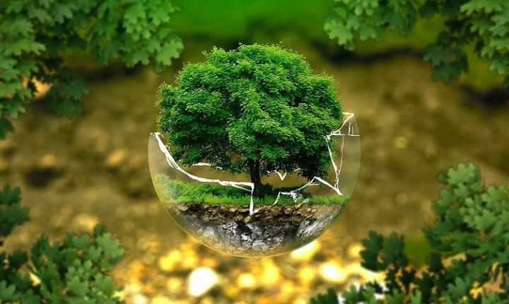 1125132489_0_67_1280_787_1920x0_80_0_0_d9c521f2f9030517e543d390e1adb315-720x430