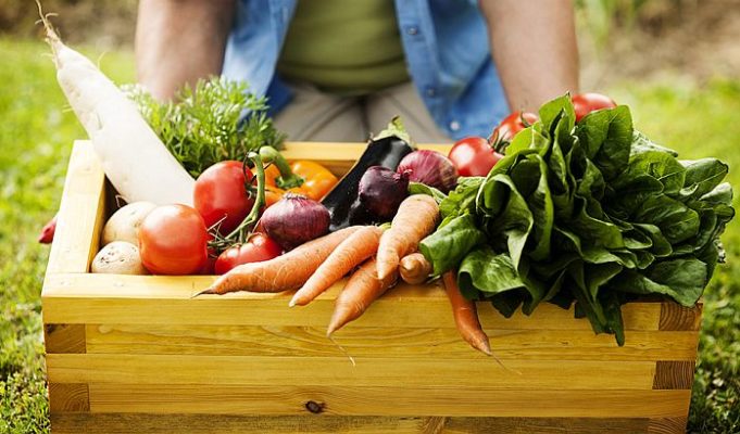 organska_hrana1-681x400