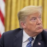 tramp-1-1024x683 (1)