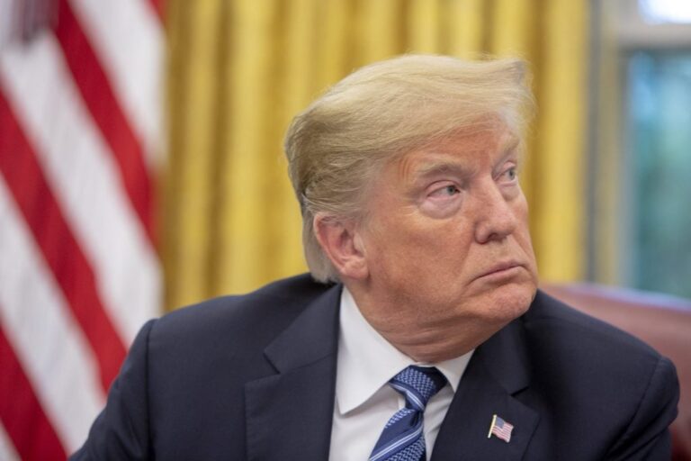 tramp-1-1024x683 (1)